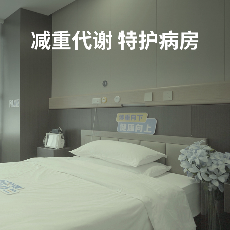 专家团队